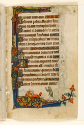 MS 1-2005, fol. 134r: Ein Fuchs, der mit der Ente der Bäuerin davonläuft, Randdekoration aus dem Macclesfield Psalter, Use of Sarum, Ostanglien, um 1330