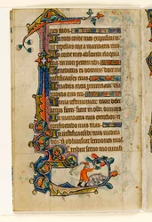 MS 1-2005, fol. 170v: Ein Schweinehirte, der Eicheln für ein Schwein herunterklopft, Randdekoration aus dem Macclesfield Psalter, Use of Sarum, Ostanglien, um 1330