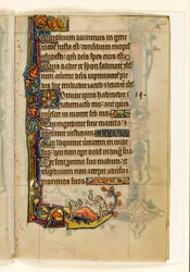 MS 1-2005, fol. 22r: Der Affenarzt und sein Bärenpatient, Randdekoration aus dem Macclesfield Psalter, Use of Sarum, Ostanglien, um 1330
