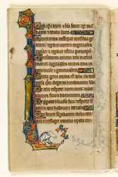 MS 1-2005, fol. 47v: Eine Groteske, Randdekoration aus dem Macclesfield Psalter, Use of Sarum, Ostanglien, um 1330