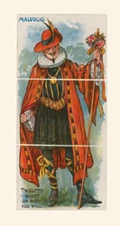 Malvolio, Was ihr wollt