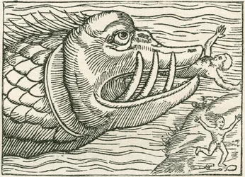 Mann, der von einer Seeschlange gefressen wird. Illustration am Rand einer Karte von Olaus Magnus