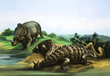 Monoclonius und Scolosaurus
