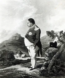 Napoleon auf der Insel St. Helena, 1820