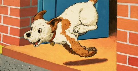 Paddy-Paws der Welpe