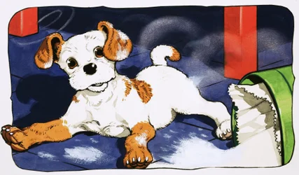 Paddy Paws