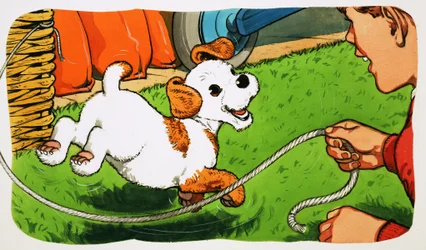 Paddy Paws