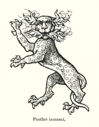 Erregter Panther (Gravur)