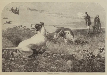 Rebhuhnjagd (Stich)