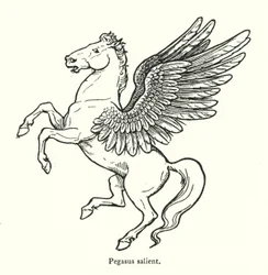 Pegasus steigend (Gravur)