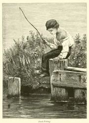 Barschangeln
