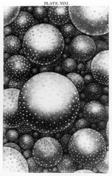 Tafel XXXI aus der Originaltheorie des Universums von Thomas Wright (1711-86), 1750