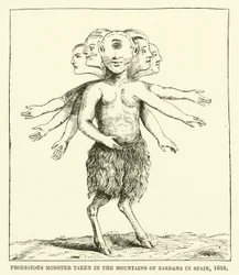 Wunderbares Monster in den Bergen von Zardana in Spanien gefangen, 1655