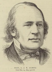 Professor L J R Agassiz (Stich)