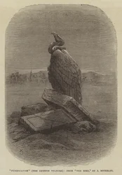 "Reinigung" (Der Gänsegeier), aus "Der Vogel" von J. Michelet