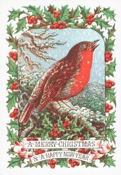 Rotkehlchen auf einem Ast, Weihnachtskarte