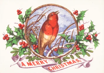 Rotkehlchen singt auf Ast, Weihnachtskarte