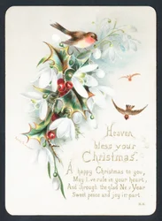 Rotkehlchen mit Stechpalme und Schneeglöckchen, Weihnachtskarte