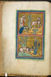 Royal 12 F.XIII, f.5v Oben: drei Männer, von denen einer sich vor einem Löwen verbeugt; unten: ein Löwe kauert am Fuße eines Baumes, mit einem Hahn, der oben sitzt. aus Bestiarium (ff. 3-141), Lapidarium (ff. 141v-149), 2. Viertel des 13. Jahrhunderts