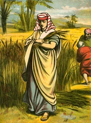 Ruth beim Ährenlesen