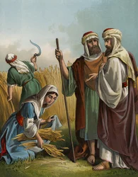 Ruth, die auf dem Feld von Boas Ähren liest