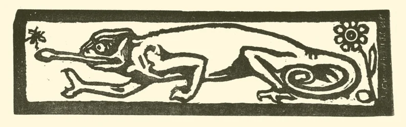 Salamander