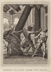 Simson reißt das Haus nieder