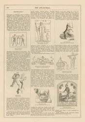 Schilder aus The Art Journal