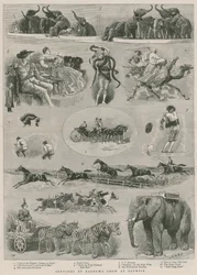 Skizzen bei Barnums Show in Olympia, London