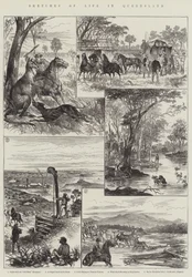 Skizzen aus dem Leben in Queensland