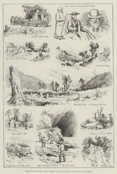 Skizzen an der Westküsten-Kutschstraße von Canterbury und Nelson, Neuseeland (Stich)