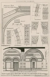 Treppe und Bogen und Erhebung der Südwand der Eingangshalle des neuen Natural History Museum, South Kensington