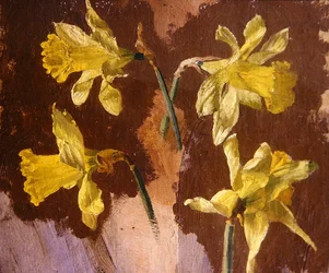 Studie von Narzissen, ca. 1830