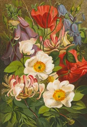 Sommerblumen