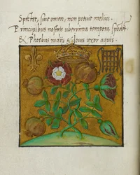 Symbole des Königtums, Illustration zu „Gedichte zur Krönung von König Heinrich VIII. von England und Königin Katharina von Aragón“ von Sir Thomas More