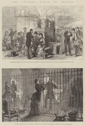 Die Cholera-Panik in Frankreich