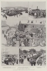 Die Kuli-Frage in Südafrika