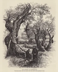 Der Garten Gethsemane