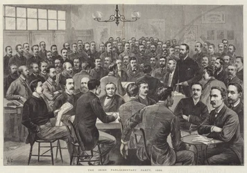 Die Irische Parlamentspartei
