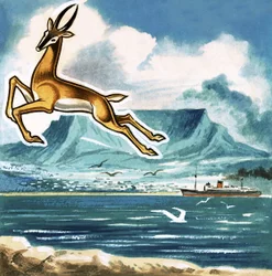 Der Springbock, Emblem Südafrikas