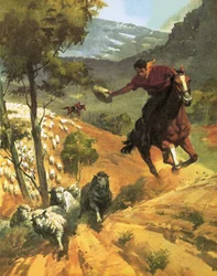 Die Geschichte Australiens: Kolonie zum Kontinent