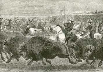 Der Wilde Westen bei der Great American Exhibition - Jagd auf Bisons und Wapiti-Hirsche