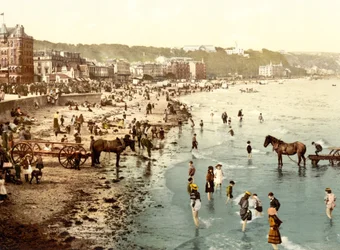 Der Strand, Douglas