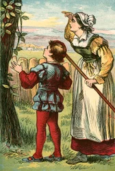 Die Bohnenstange wächst über Nacht außer Sichtweite