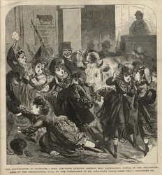 Die Viehschau in Islington