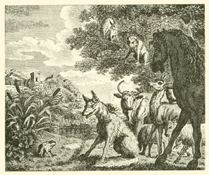 Der Frosch und der Fuchs (Gravur)