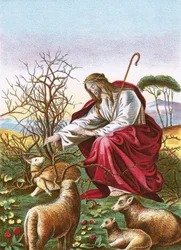 Der gute Hirte