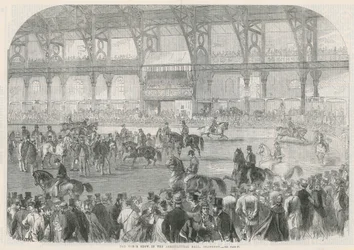 Die Pferdeschau in der Landwirtschaftshalle