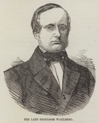 Der verstorbene Professor Wahlberg (Gravur)