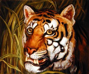 Tiger, Tiger brennend hell...